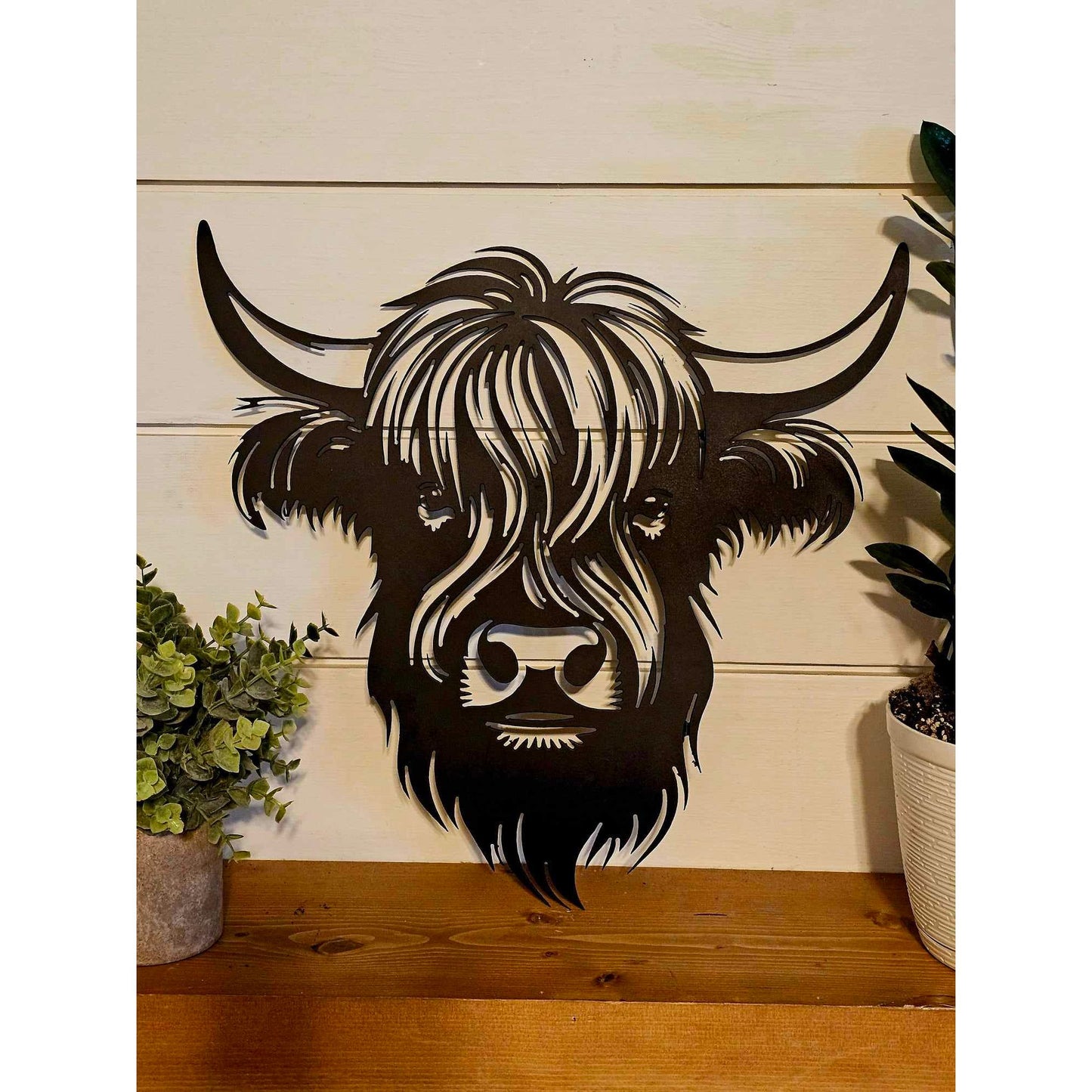 Highland Bull Head